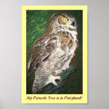 Poster del guarda del Fairyland