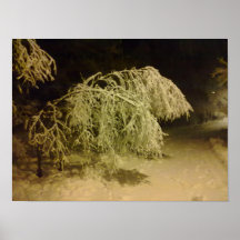 Poster del invierno