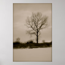 Poster del "invierno solo"