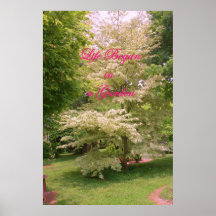 POSTER DEL JARDÍN