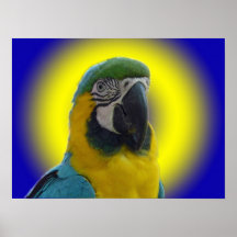 Poster del loro