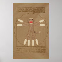 Poster del mono de Vitruvian