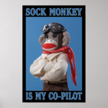 Poster del mono del copiloto