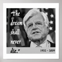 poster del monumento de ted Kennedy