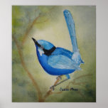 Poster del muchacho azul