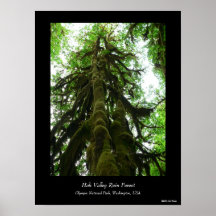 Poster del mutante de la selva tropical