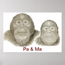 POSTER del PA y del mA