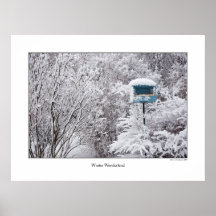 Poster del país de las maravillas del invierno