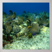 Poster del paisaje marino