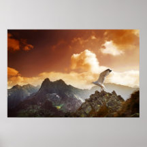 poster del pájaro