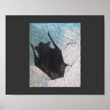 POSTER DEL PALO