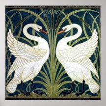 Poster del papel pintado del cisne y de la precipi
