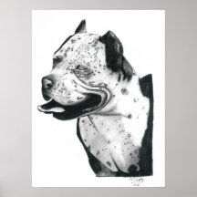 Poster del pitbull