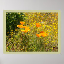 Poster del prado del Wildflower