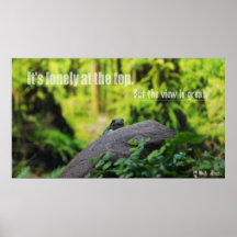 Poster del reino animal HD - rana