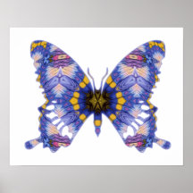 Poster del rezo de la mariposa