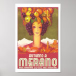 Poster del viaje del vintage - Merano, Italia