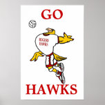 Poster del voleibol de GHawk