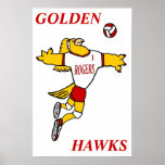 Poster del voleibol de GHawk