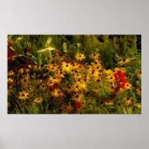 Poster del Wildflower