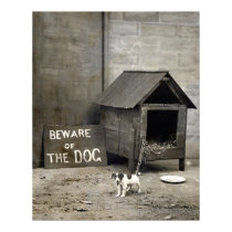 Poster divertido del perro posters