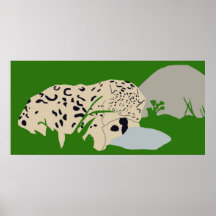 Poster el dormir de la onza