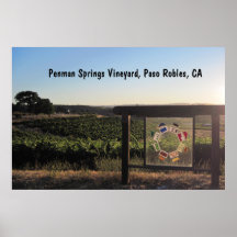 Poster: El pendolista salta viñedo, Paso Robles, C