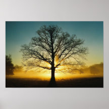 poster escénico de la foto del árbol