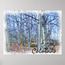 Poster escénico del árbol del álamo temblón de Col