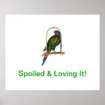 Poster estropeado del loro