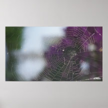 Poster exclusivo - Web de araña