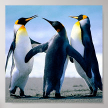Poster feliz de los pingüinos