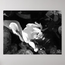 Poster floral blanco y negro