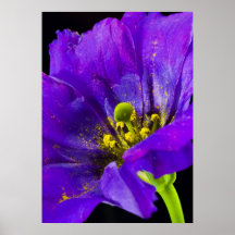 Poster floral brillante y hermoso