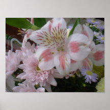 poster floral clasificado