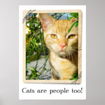 ¡Poster fresco estupendo del gato!