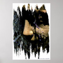 POSTER - fuente