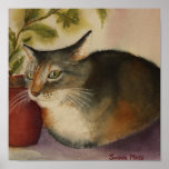 POSTER - gato francés