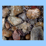 Poster - gotas de lluvia en spiderweb sobre rocas  posters