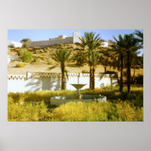 Poster guardado del oasis