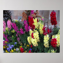 Poster hermoso del jardín
