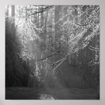 Poster hivernal