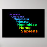 Poster humano de la taxonomía