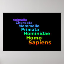 Poster humano de la taxonomía