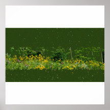 Poster/impresión de los Wildflowers