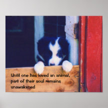 Poster inspirado de la cita del perrito lindo