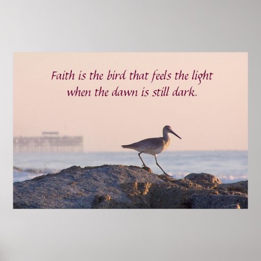 Poster inspirado de la mañana del pájaro de orilla