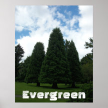 Poster inspirado de los árboles imperecederos