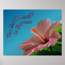 Poster inspirado del hibisco de la tierra rosada d