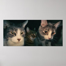 Poster KittyNoir1